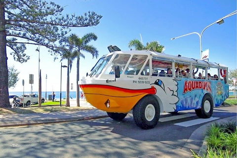 Aquaduck Sunshine Coast - Accommodation BNB 1