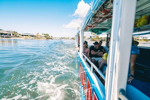 Aquaduck Sunshine Coast - Accommodation BNB 5
