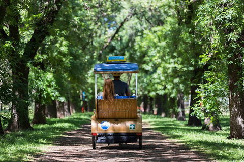Adelaide 90-Minute Pedicab Tour: Scenic Green & River Experience - Accommodation BNB 2