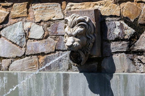 Adelaide 90-Minute Pedicab Tour: Scenic Green & River Experience - Accommodation BNB 3