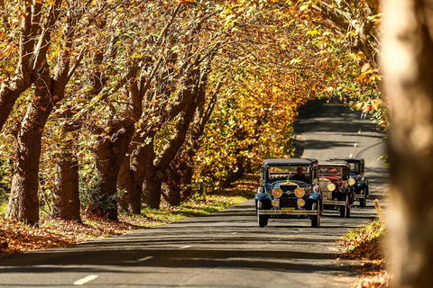 Blue Mountains Vintage Cadillac Tour With Local Guide - Accommodation BNB 1