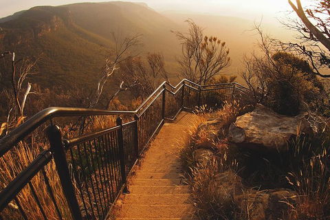 Blue Mountains Vintage Cadillac Tour With Local Guide - Accommodation BNB 3