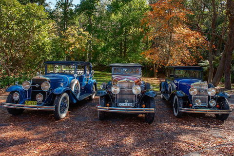 Blue Mountains Vintage Cadillac Tour With Local Guide - Accommodation BNB 4