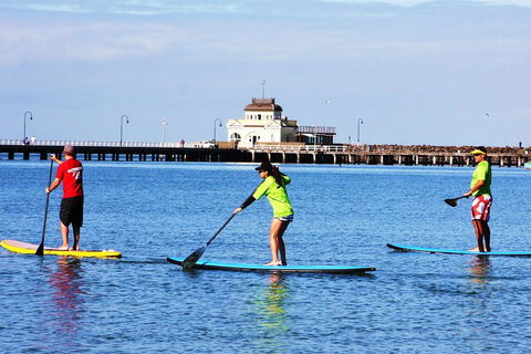 Private Stand-Up Paddle Board Lesson At St Kilda - Accommodation BNB 1