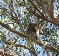 Stradbroke Island 4WD Day Trip from Brisbane