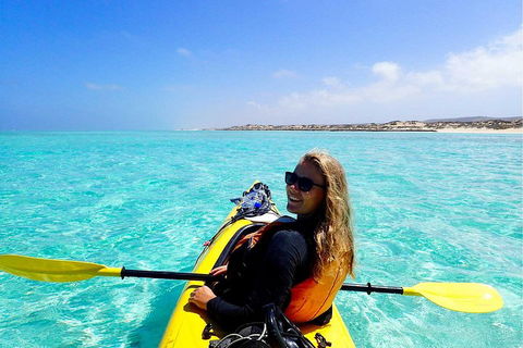 Lagoon Explorer - Ningaloo Reef Full-Day Kayaking And Snorkeling Adventure - Accommodation BNB 1