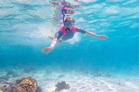 Lagoon Explorer - Ningaloo Reef Full-Day Kayaking And Snorkeling Adventure - Accommodation BNB 5