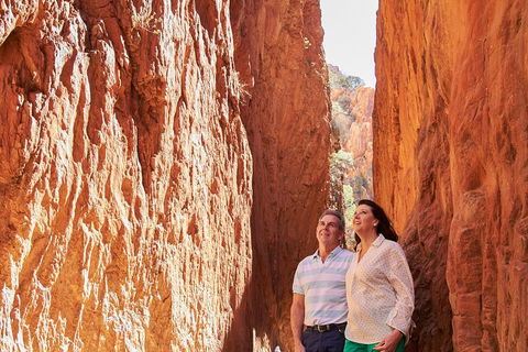 Best Of Alice Springs Full Day Tour - Accommodation BNB 4