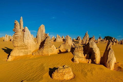 Pinnacle Desert Sunset And Stargazing With Dinner - Accommodation BNB 3