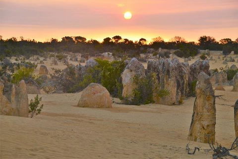 Pinnacle Desert Sunset And Stargazing With Dinner - Accommodation BNB 5