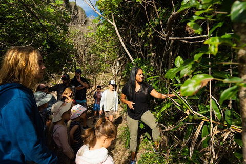 Cape Byron Aboriginal Tour - Accommodation BNB 4