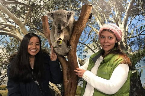 Australia Multi-City Attractions Pass - Accommodation BNB 3