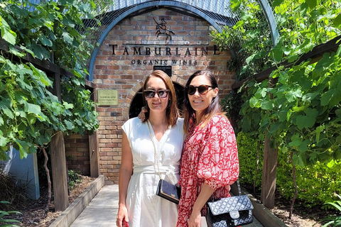 Hideaway Private Tours Hunter Valley- Indulgence Wine Tour (Full Day) - Accommodation BNB 5