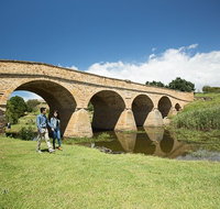 Bonorong Wildlife Park and Richmond Afternoon Tour from Hobart - Accommodation BNB