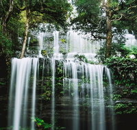 Mt Field National Park and Russell Falls from Hobart - Accommodation BNB