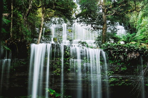 Mt Field National Park And Russell Falls From Hobart - Accommodation BNB 0
