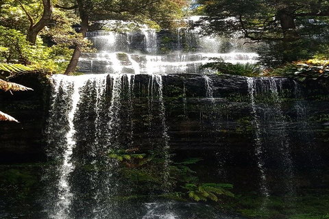 Mt Field National Park And Russell Falls From Hobart - Accommodation BNB 2