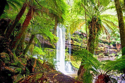 Mt Field National Park And Russell Falls From Hobart - Accommodation BNB 4