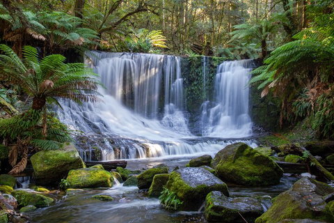 Mt Field National Park And Russell Falls From Hobart - Accommodation BNB 5