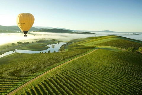 Half-Day Or Full-Day Tour With Private Guide From Melbourne - Accommodation BNB 4