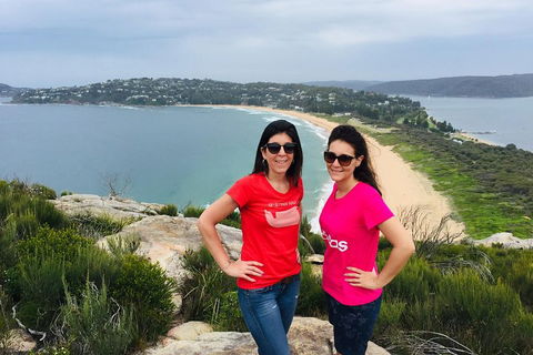 Small-Group Sydney's Northern Beaches And Ku-ring-gai National Park Bus Tour - Accommodation BNB 3