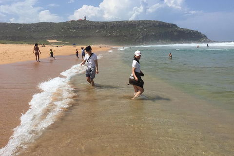Small-Group Sydney's Northern Beaches And Ku-ring-gai National Park Bus Tour - Accommodation BNB 5