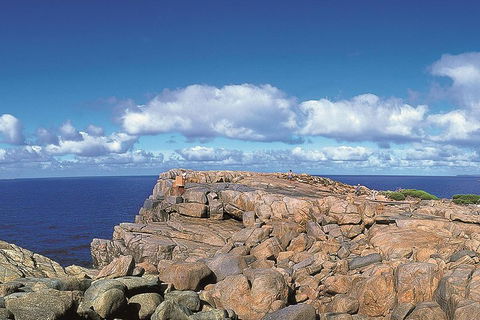 4 Day Tour: Albany, Margaret River, Valley Of The Giants TreeTop Walk From Perth - Accommodation BNB 0