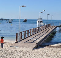 Monkey Mia Dolphins  Shark Bay Air Tour From Perth