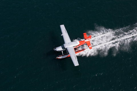Lunch At Cottage Point Inn By Seaplane From Sydney - Accommodation BNB 2