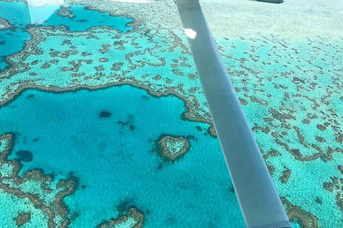 Whitsunday Islands 1-Hour Reef Scenic Helicopter Tour - Accommodation BNB 3