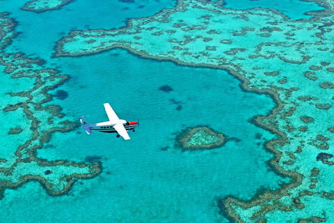 Fly & Sail Package (With Providence) - Accommodation BNB 4