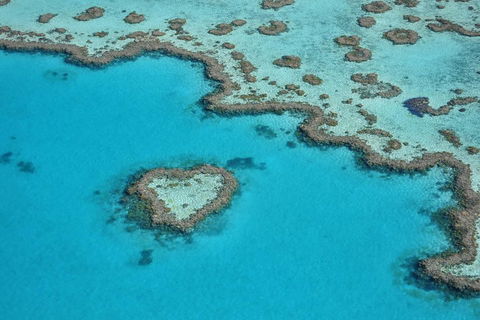 Reef And Island Scenic Flight From Airlie Beach - Accommodation BNB 5