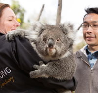 Bonorong Wildlife Park and Richmond Afternoon Tour from Hobart - Accommodation BNB