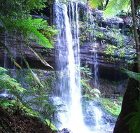 Mt Field National Park and Russell Falls from Hobart - Accommodation BNB