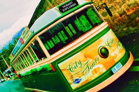 Hobart Half-Day Sightseeing Coach Tram Tour - Accommodation BNB 5