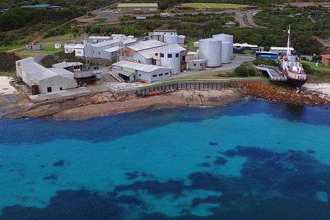 Albany's Whale Story - Accommodation BNB 4