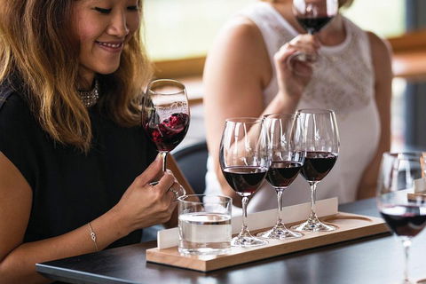 Adelaide Hills Regional / Hahndorf German Village Tour - Accommodation BNB 5