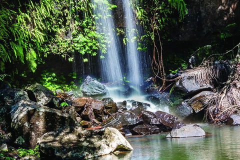 Full Day Small Group Luxury Tour To Tamborine Mountain - Accommodation BNB 0