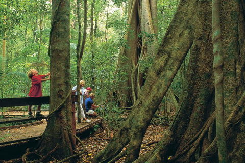 Full Day Small Group Luxury Tour To Tamborine Mountain - Accommodation BNB 1