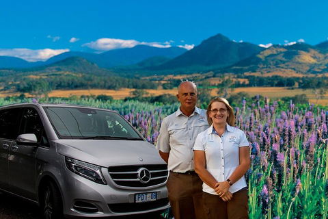 Full Day Small Group Luxury Tour To Tamborine Mountain - Accommodation BNB 3