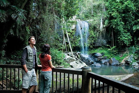 Full Day Small Group Luxury Tour To Tamborine Mountain - Accommodation BNB 4