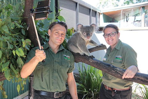Virtual Interactive Australian Wildlife Tour With Private Guide-Wildlife Habitat - Accommodation BNB 0