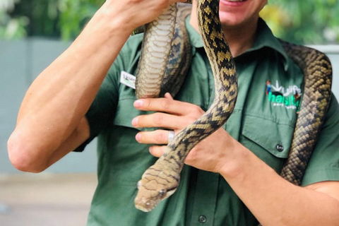 Virtual Interactive Australian Wildlife Tour With Private Guide-Wildlife Habitat - Accommodation BNB 1
