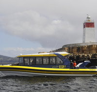 Hobart Sightseeing Cruise including Iron Pot Lighthouse - Accommodation BNB