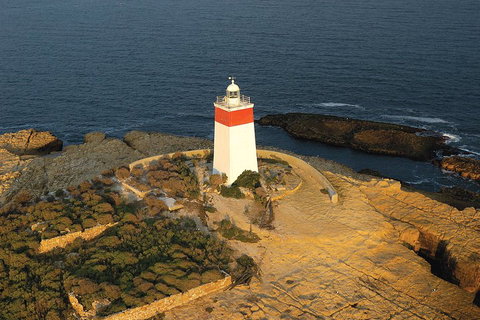 Hobart Sightseeing Cruise Including Iron Pot Lighthouse - Accommodation BNB 1
