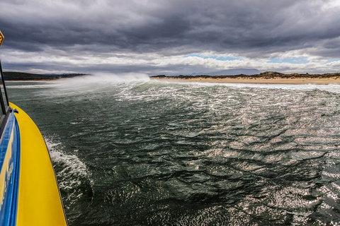 Hobart Sightseeing Cruise Including Iron Pot Lighthouse - Accommodation BNB 3