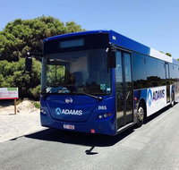 Rottnest Bayseeker Bus Tour from Hillarys Boat Harbour