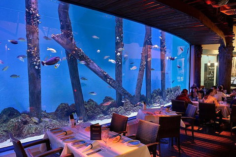 Cairns Aquarium And Small Group City Sightseeing Tour - Accommodation BNB 4