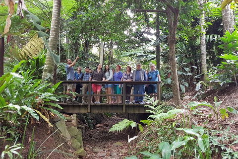 Cairns Shore Excursion: Cairns City Sights & Surrounds Tour - Accommodation BNB 1