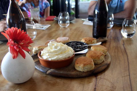 Cairns Shore Excursion: Cairns City Sights & Surrounds Tour - Accommodation BNB 3